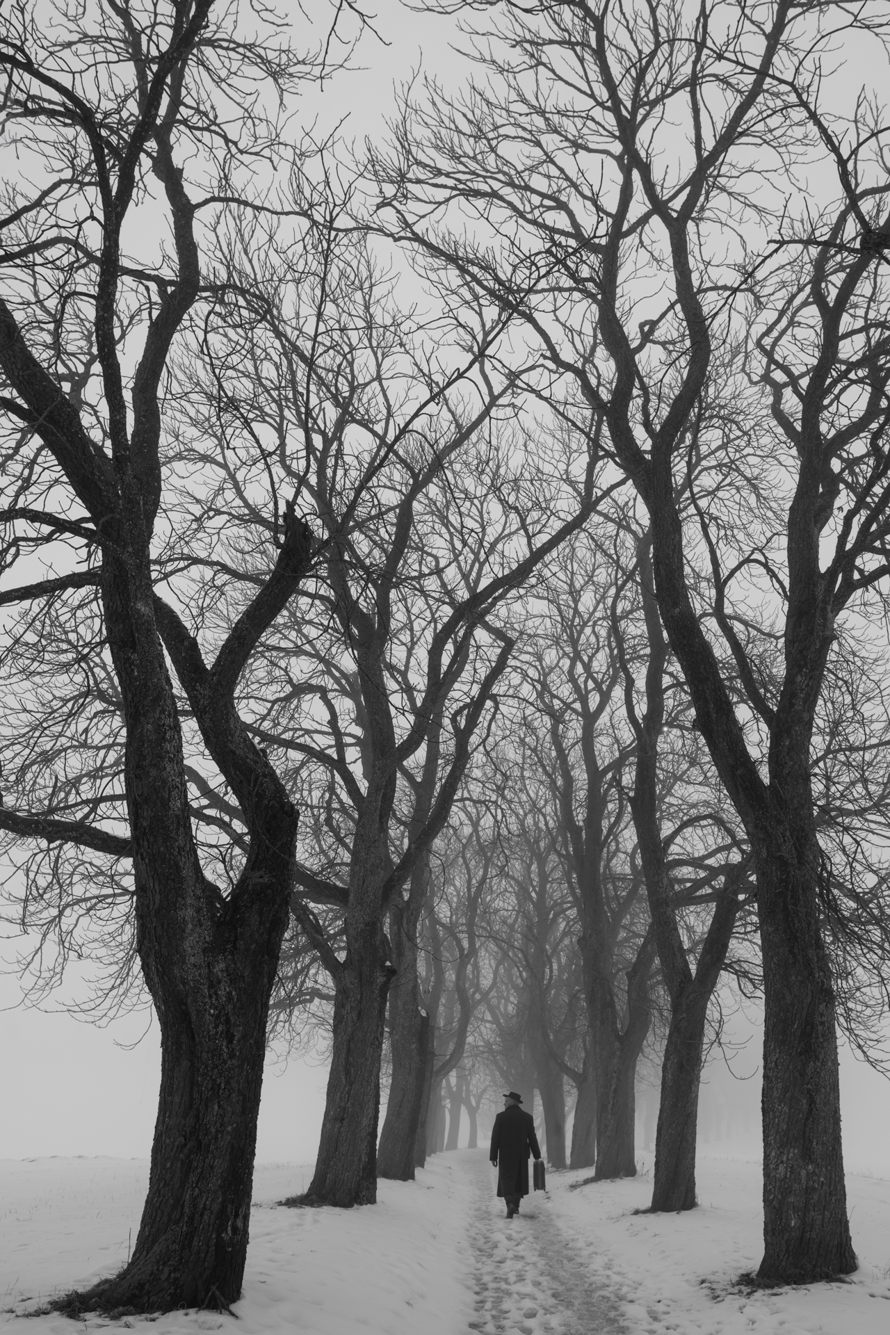 24 P. Abschied - Helmut Wilflingseder